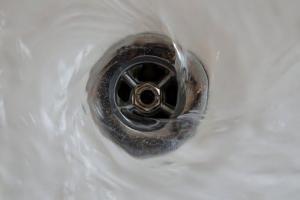 drain pests