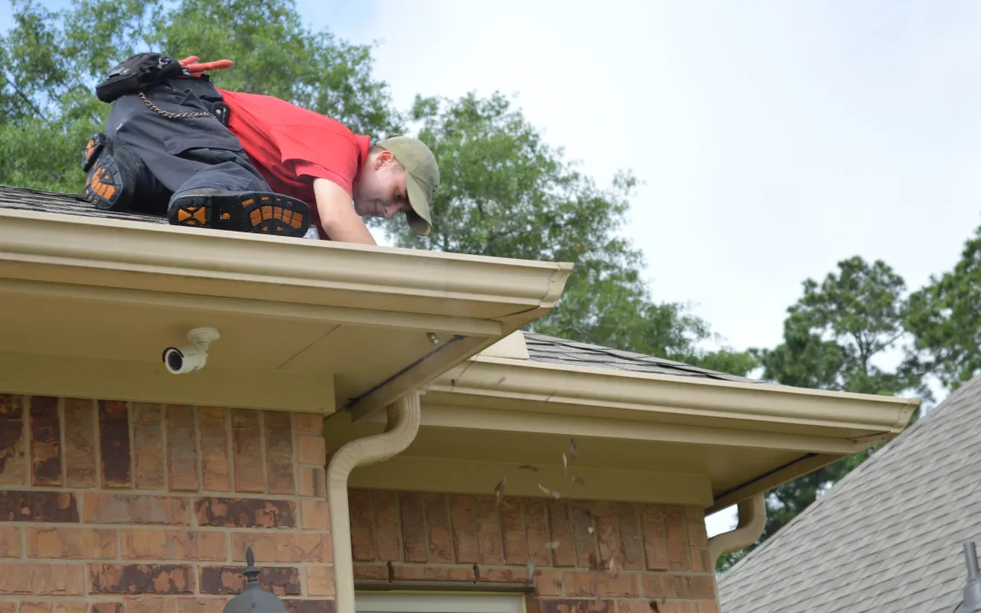 Renewable rodent warranty