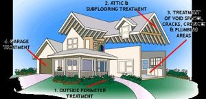 Once A Year Pest Control