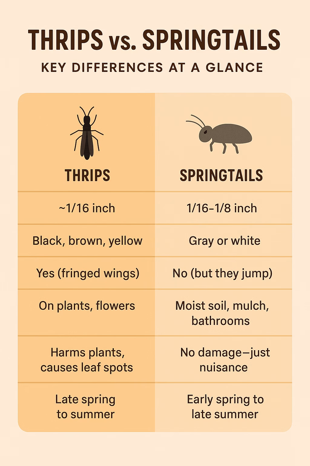 Thrips vs Springtails